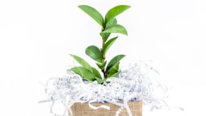 Why You Need A Secure Shredding Service During Your Spring Cleanout