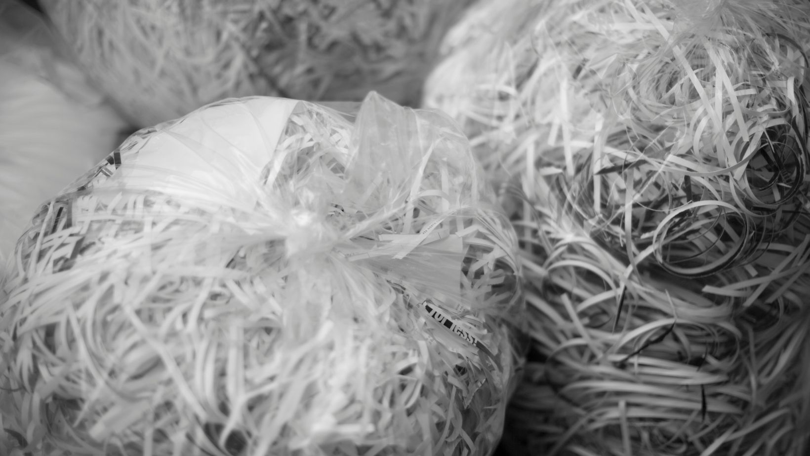 Clear plastic bags of shredded paper
