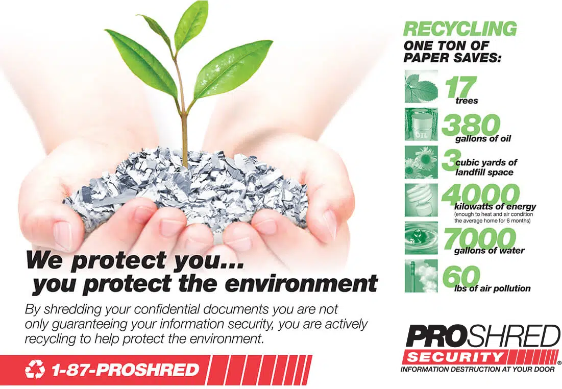 Infographic with information on how many paper PROSHRED recycles and how many trees we have saved  